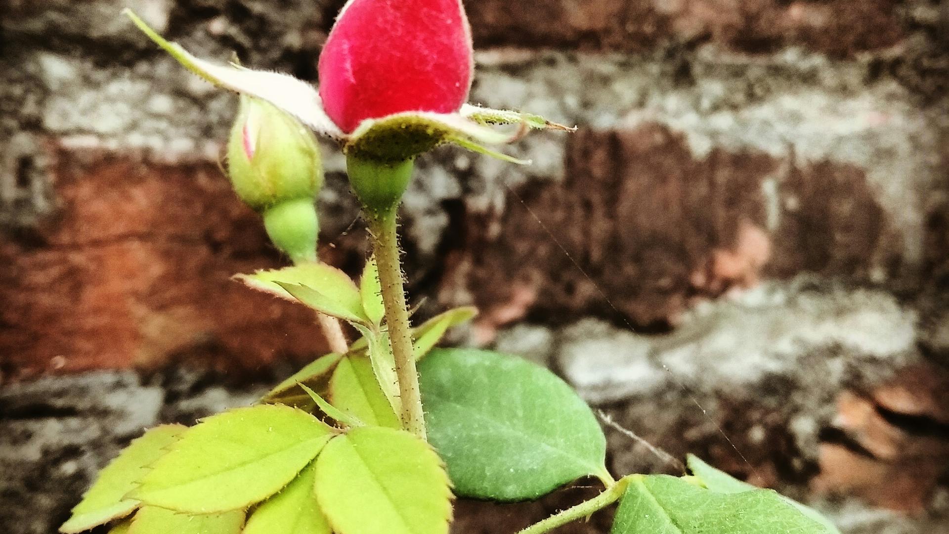 Every Call Is a Sale